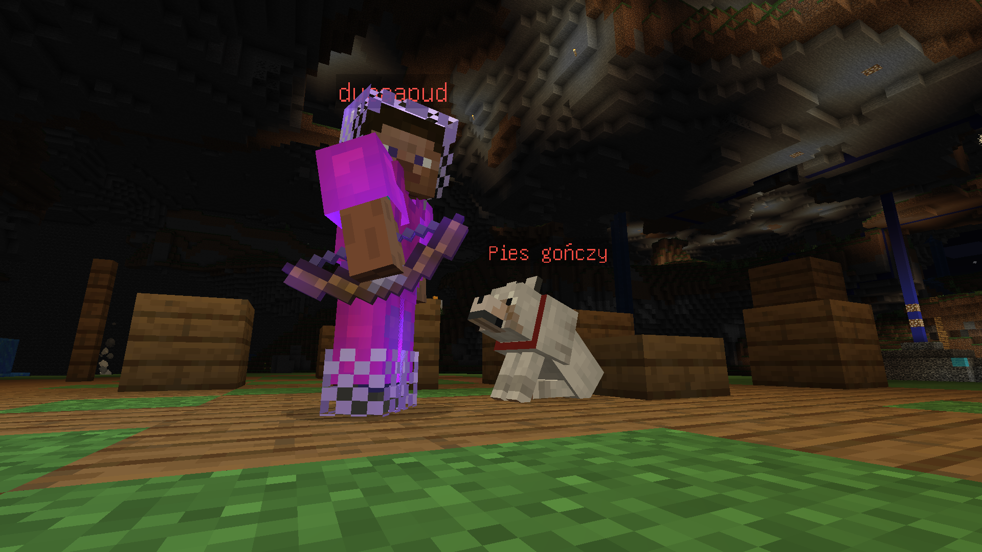 Zdjęcie do aktualności