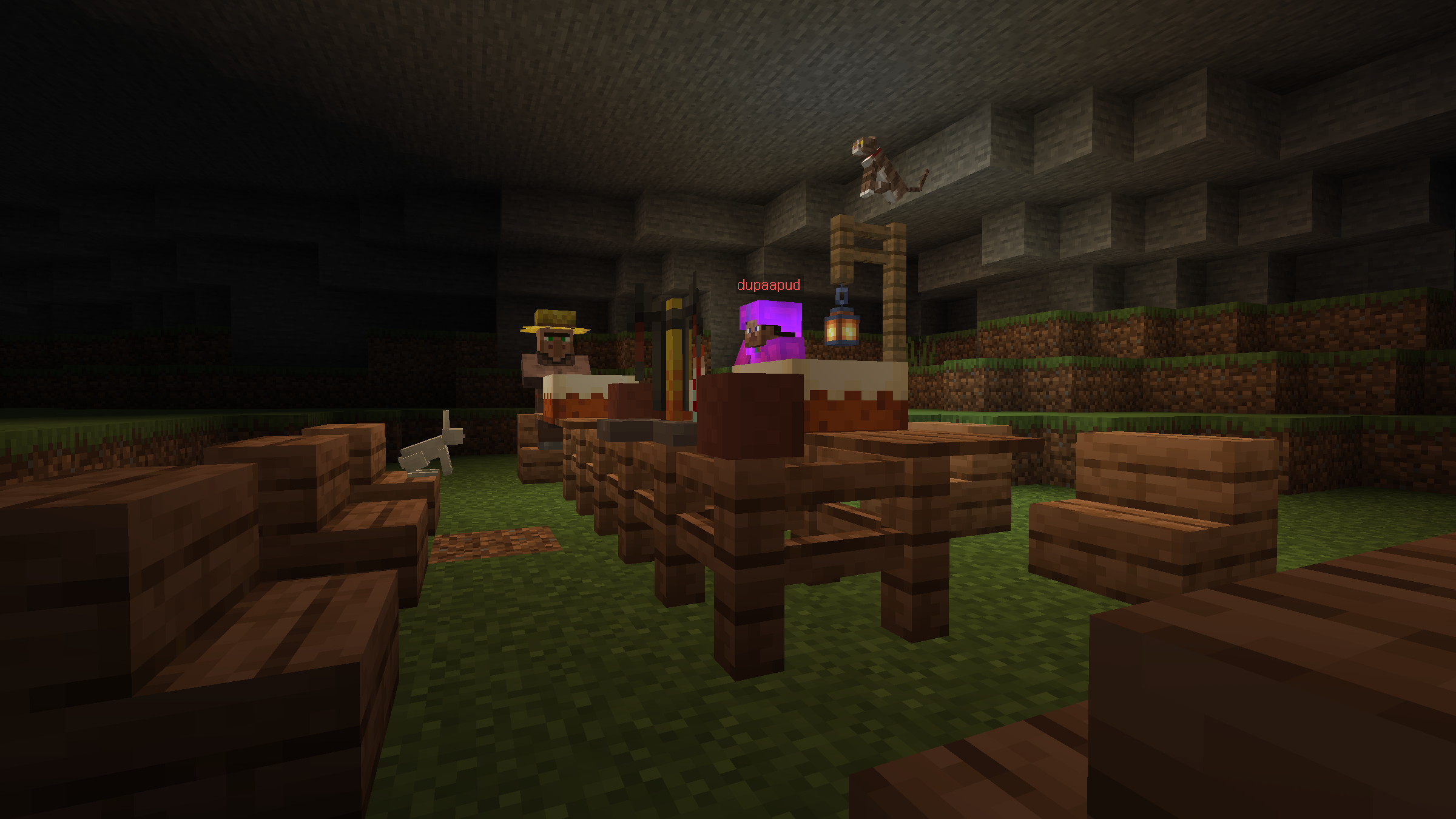 Zdjęcie do aktualności